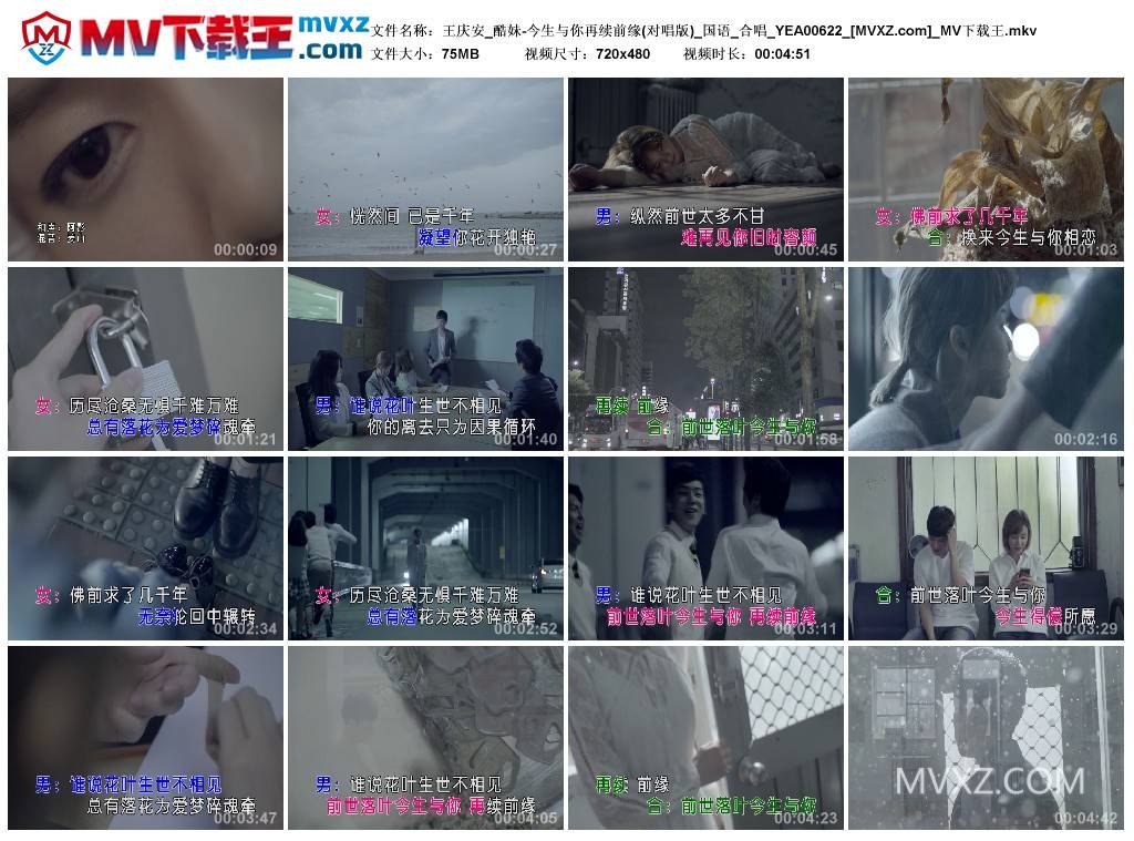 王庆安_酷妹-今生与你再续前缘(对唱版)_国语_合唱_YEA00622